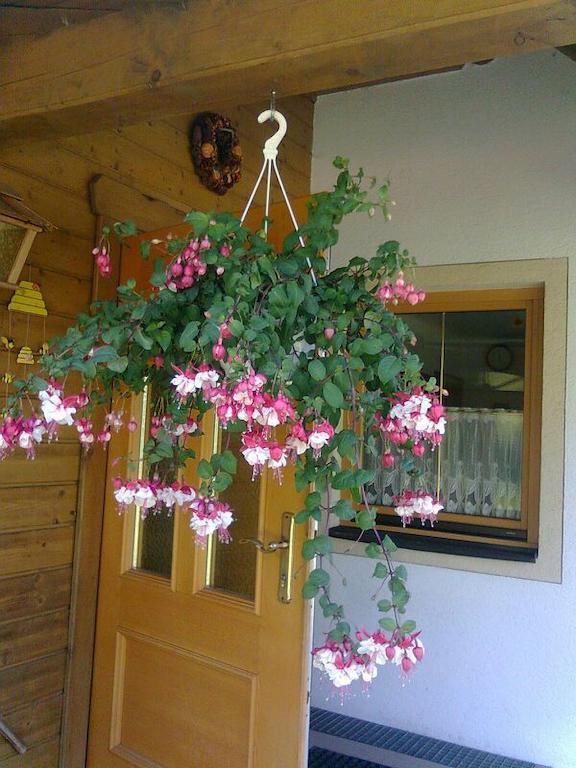 Appartement Pension Grasser Bad Kleinkirchheim Bagian luar foto